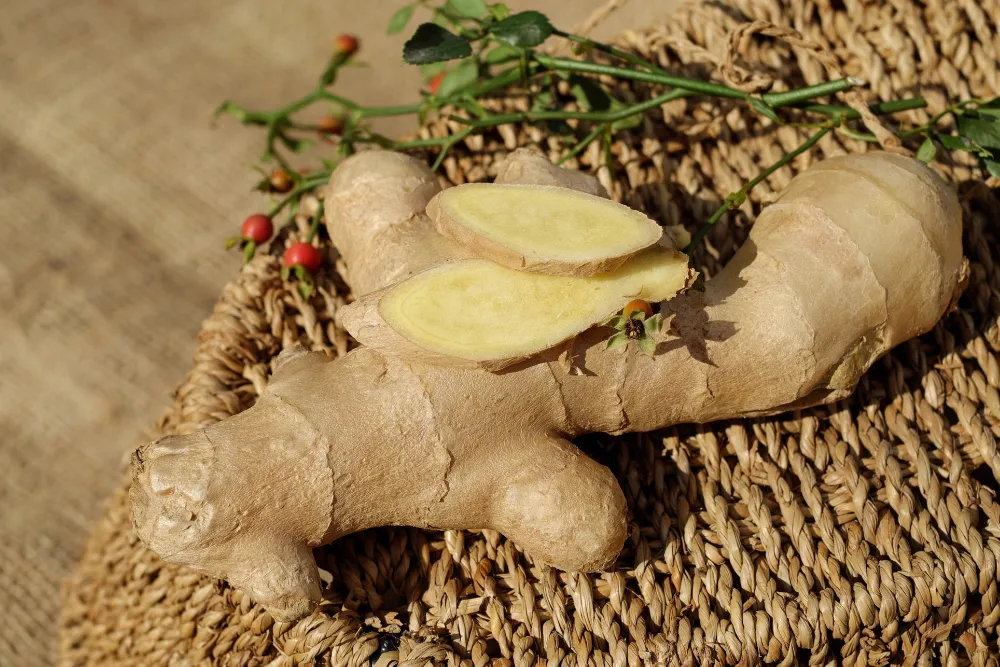 Imbir - Naturalne receptury na zdrowie z imbirem w roli głównej